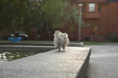 Oct6b_04_325.JPG