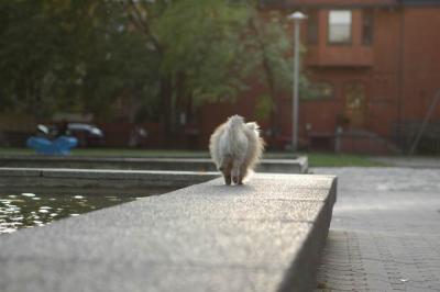 Oct6b_04_326.JPG