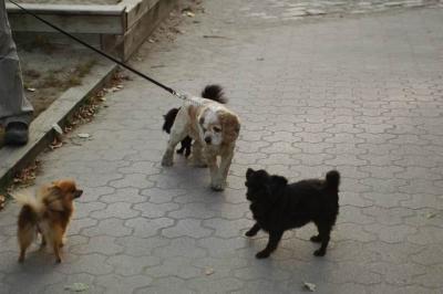 Oct6b_04_338.JPG