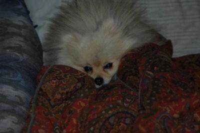 Oct6b_04_378.JPG