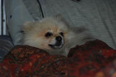 Oct6b_04_379.JPG