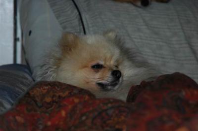 Oct6b_04_380.JPG