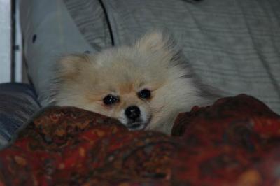 Oct6b_04_381.JPG