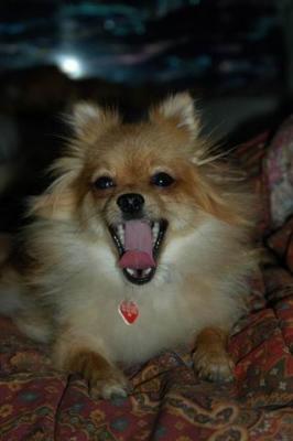 Oct6b_04_383.JPG