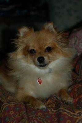 Oct6b_04_384.JPG