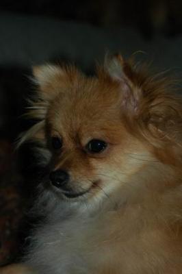 Oct6b_04_394.JPG