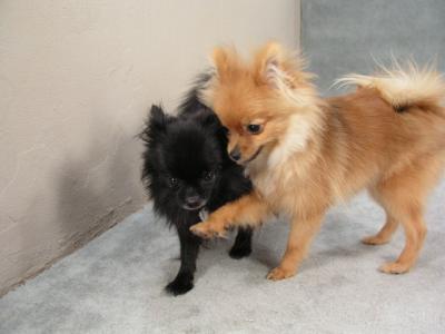 Feb6_04_050.jpg