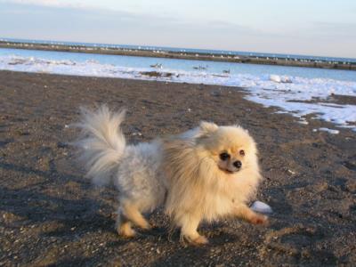 Feb25_04_267.jpg