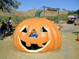 JAKE-O-Lantern!