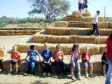 By the great hay pyramid