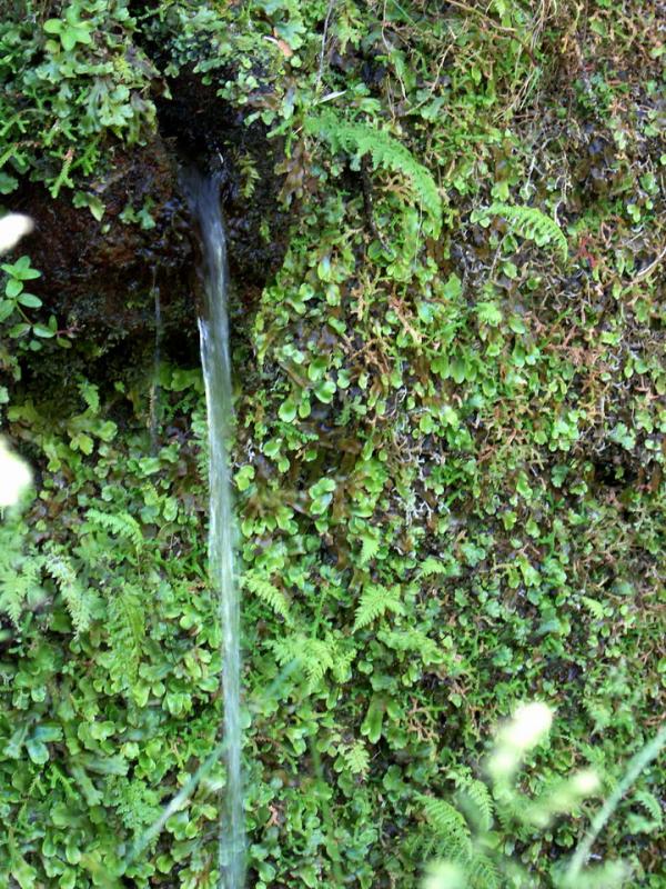 PICT4085.jpg