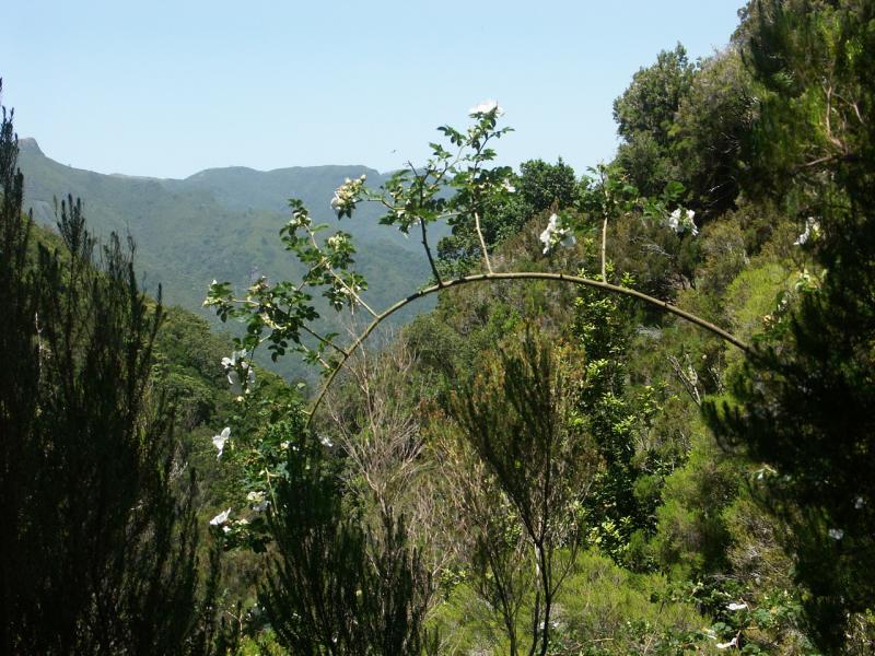 PICT4112.jpg