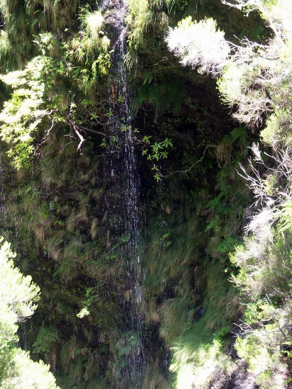 PICT4115.jpg