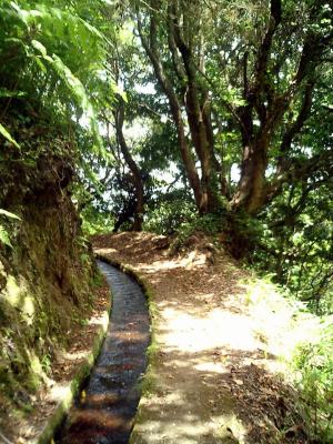 Hidden Corners Levada Walk