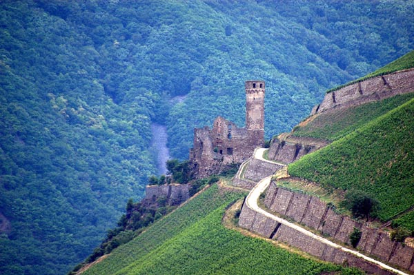 Burg Ehrenfels gegenber von Bingen