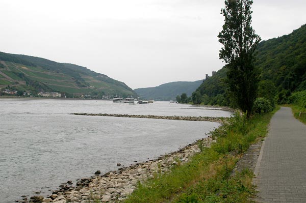 Fahrradweg am Rhein