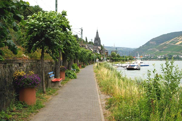 Fahrradweg am linken (westlichen) Rheinufer