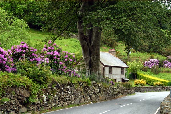 Rural road through Snowdonia