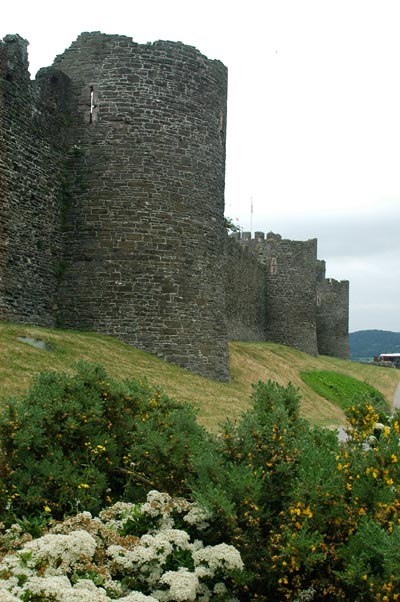 City walls of Conwy