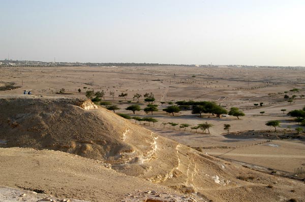 View from Riffa Fort