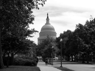 Img_5575bw.jpg