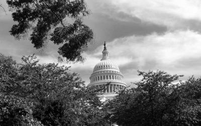 Img_5582bw.jpg