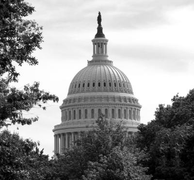 Img_5576bw.jpg