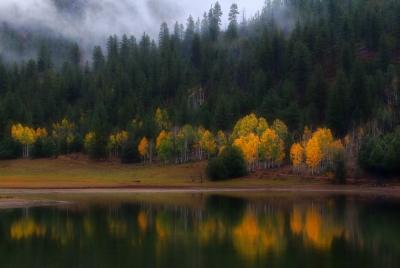 Fall Morning, Utah