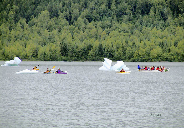 Canoeing Amidst the Iceburgs