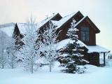 Home in winter