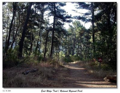 Hiking on the East Ridge Trail