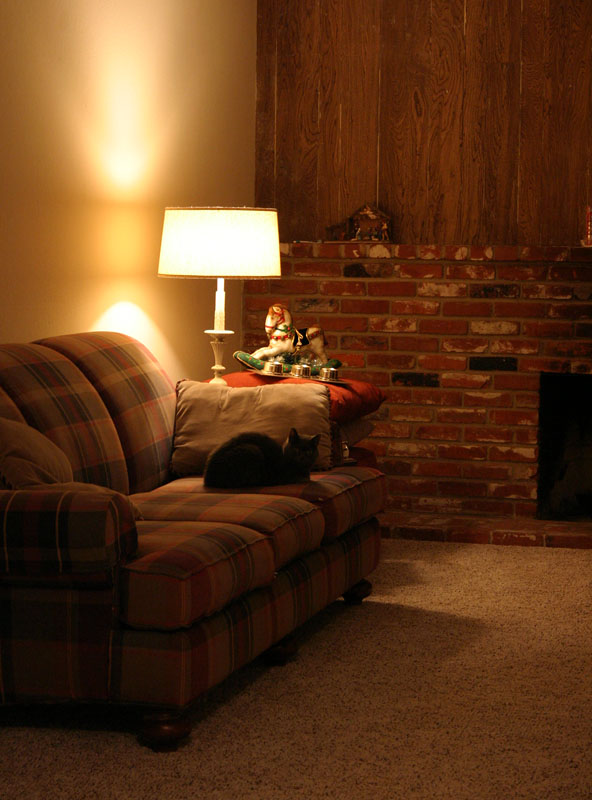 Cozy