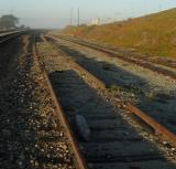 PC133749.JPG