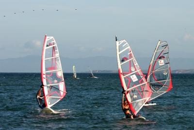 IMG_1260.jpg