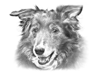 In Memory of Gem