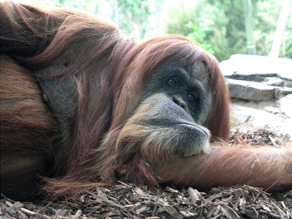 Wild Animal Park