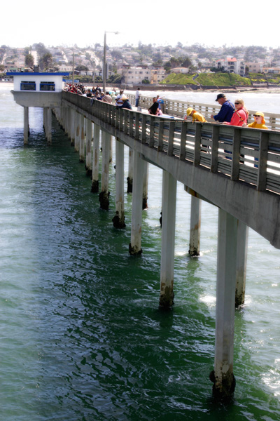 Ocean Beach Pier
