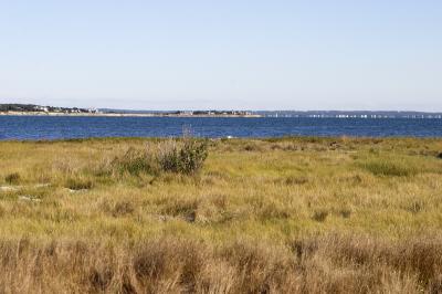 slt_stewartsisland_007.jpg
