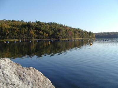 Search For Oysters ~ Eskasoni