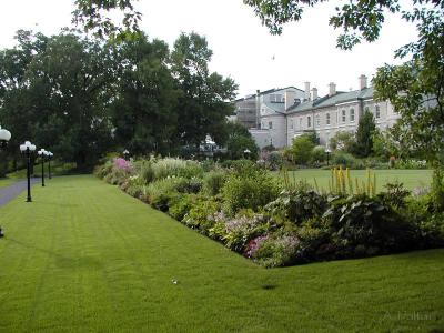 A Colourful Ottawa Garden