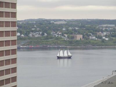 A Tall Ship - Halifax Harbor, Nova Scotia