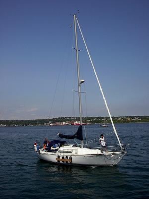 Summer Breeze ~ Halifax Harbor