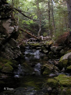  Heading For The Falls