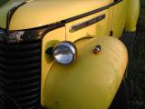 Vintage Yellow ~ Pembroke