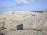 Scaled Photo At Peggys Cove