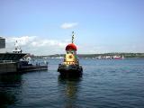 Theodore Returns ~ Halifax Harbor