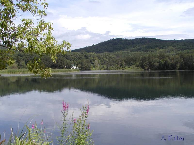 Serene Setting In Vermont
