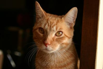 IMG_2783.jpg