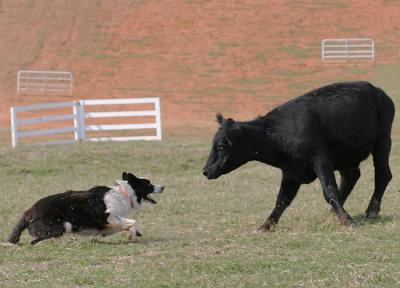 Stopping a runaway
