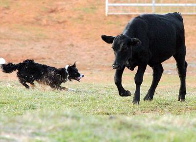 A fast break